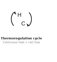 Thermoregulation cycle